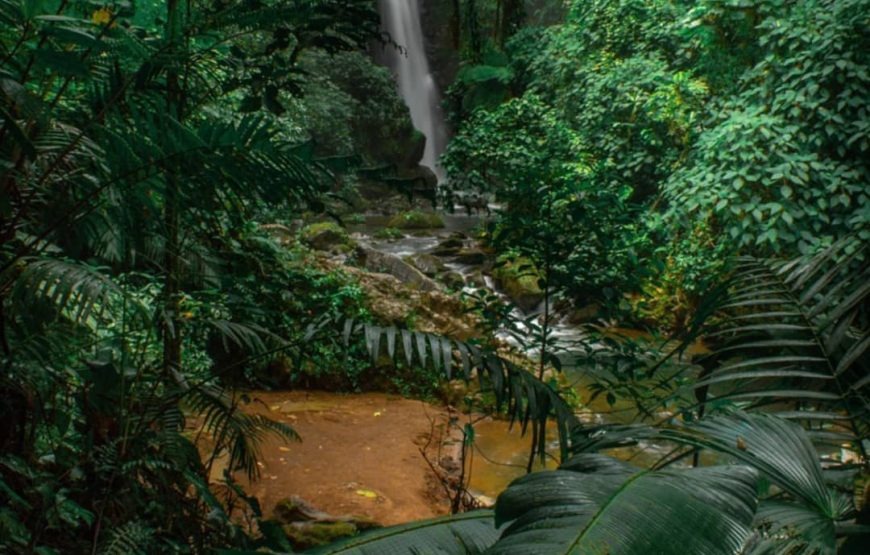 Waterfalls Gardens + Poas Volcano + Doka Coffee Tour