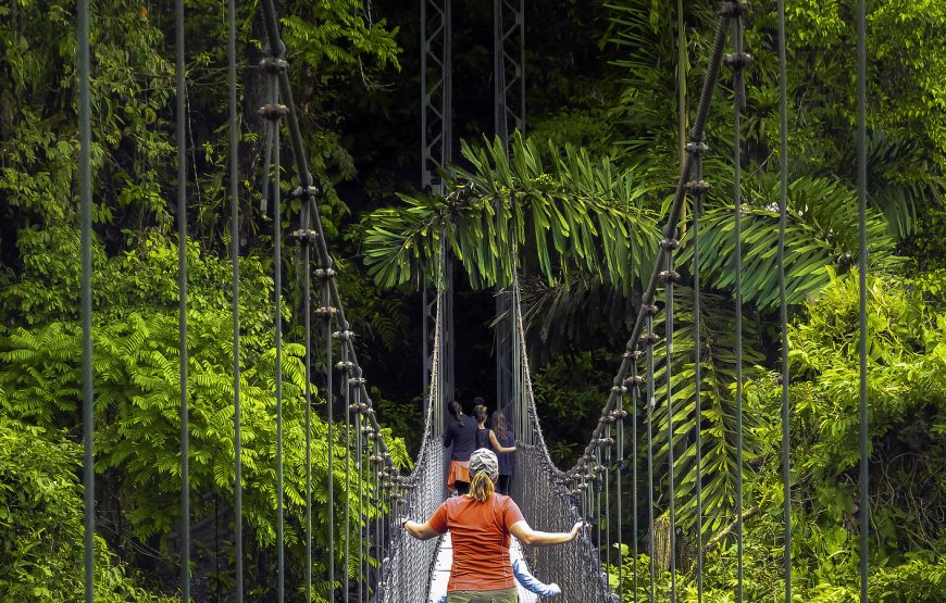 Combo Arenal: Waterfall + Hanging Bridges + Hot Springs
