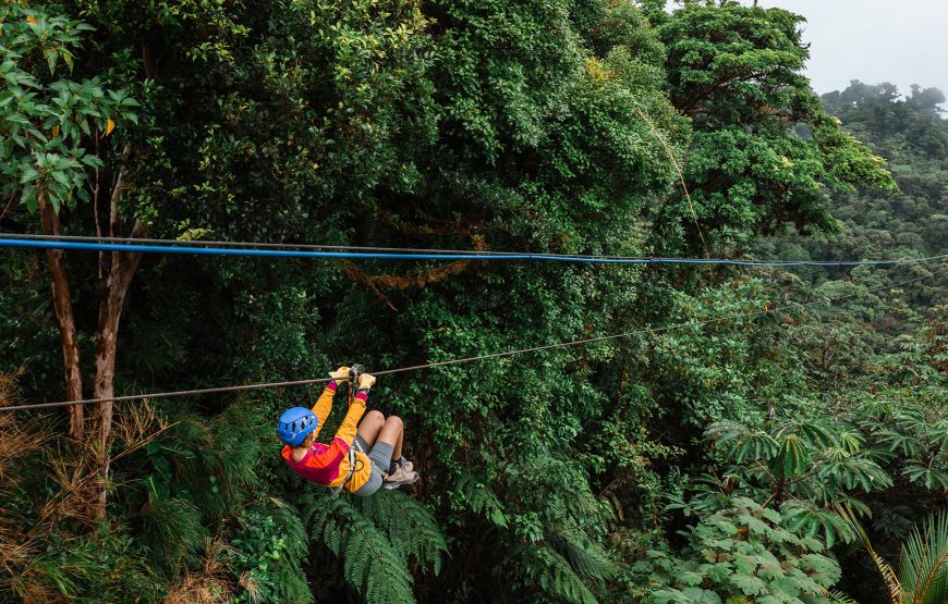 Monteverde CloudForest + Canopy Tour