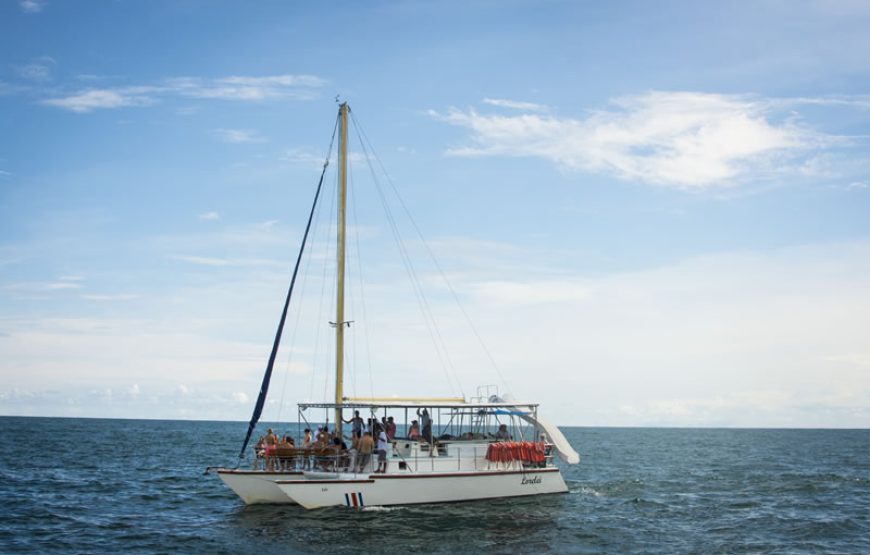 Manuel Antonio National Park + Catamaran