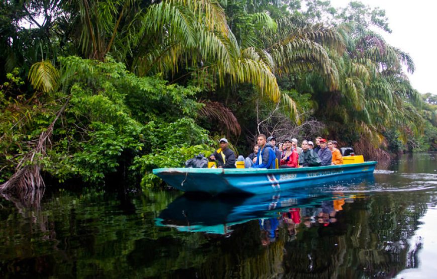 All inclusive package 3 days 2 nights in Tortuguero from San José