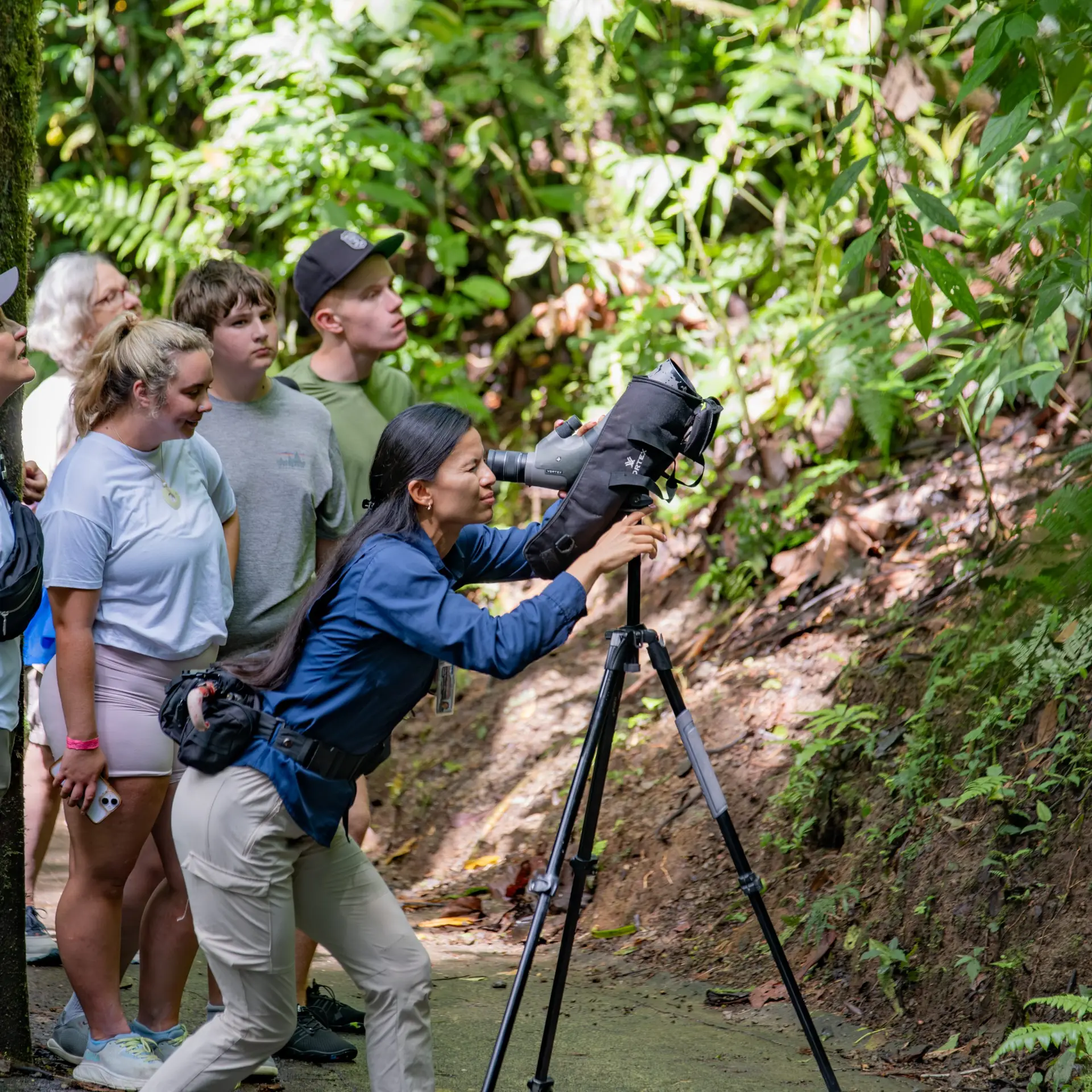 Combo Arenal: Fortuna Waterfall - Hanging Bridges - Hot springs