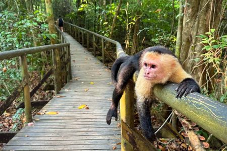 Manuel Antonio National Park By Summer Travel Costa Rica