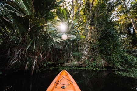 All inclusive package 2 days 1 night in Tortuguero