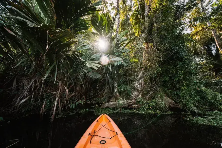 All inclusive package 2 days 1 night in Tortuguero